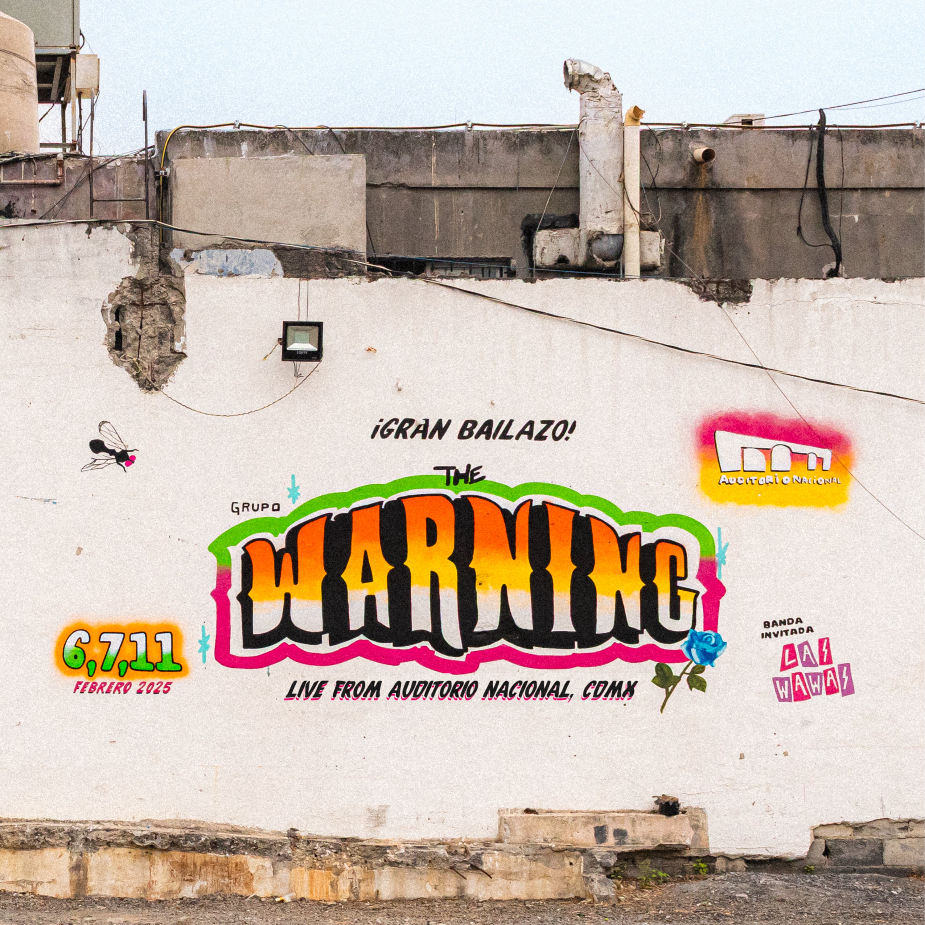 The Warning - Live from Auditorio Nacional CDMX - Double Vinyle