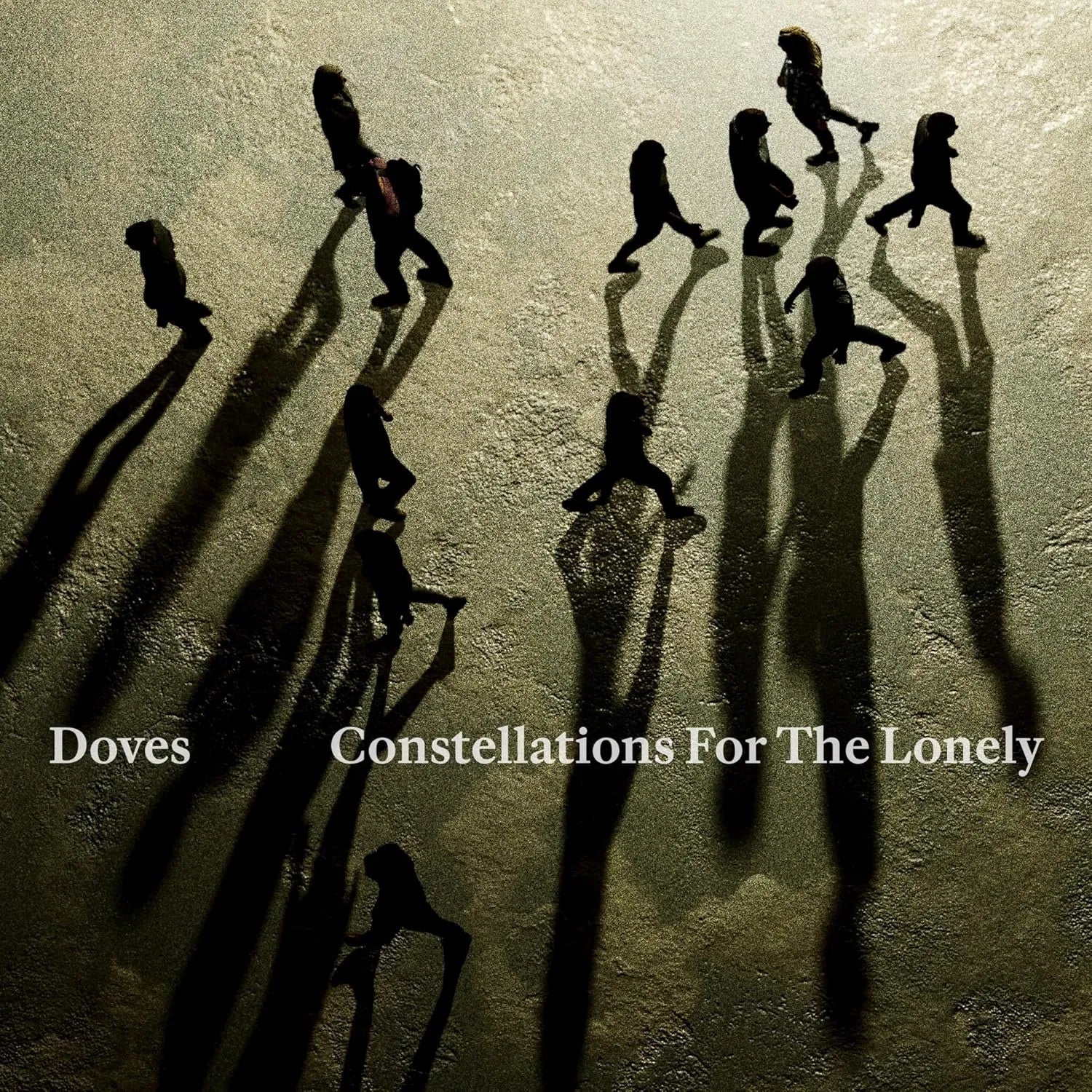 Doves