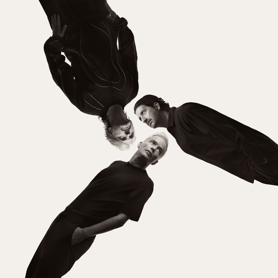 The Avalanches