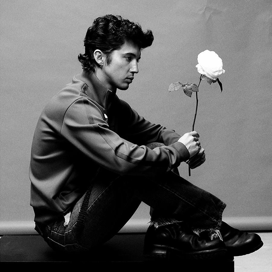 Troye Sivan