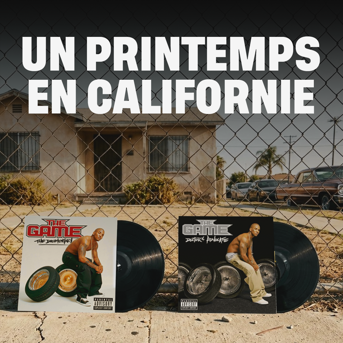 UN PRINTEMPS EN CALIFORNIE | DOSE