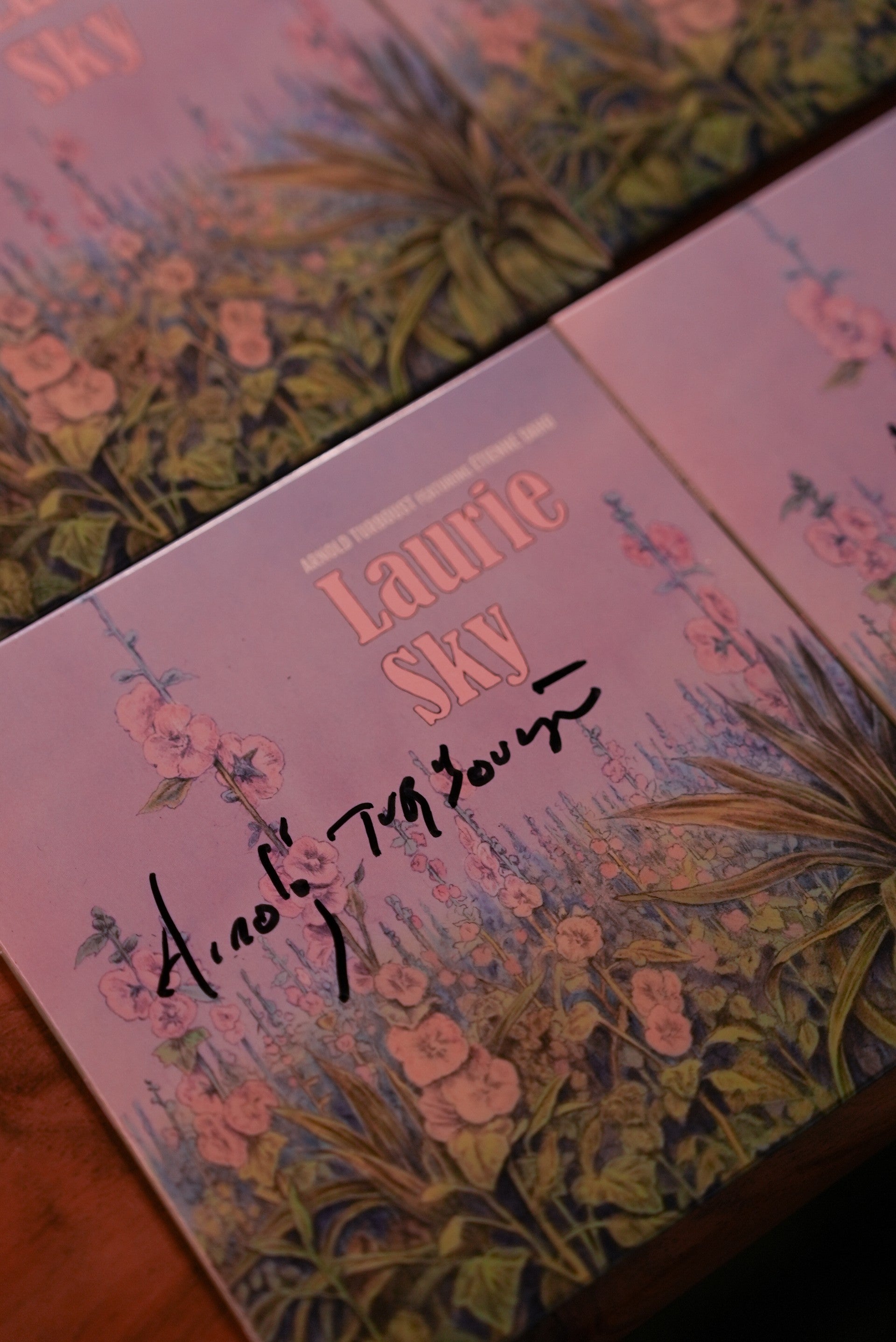 Arnold Turboust feat Etienne Daho - Laurie Sky - Vinyle 45T Dédicacé