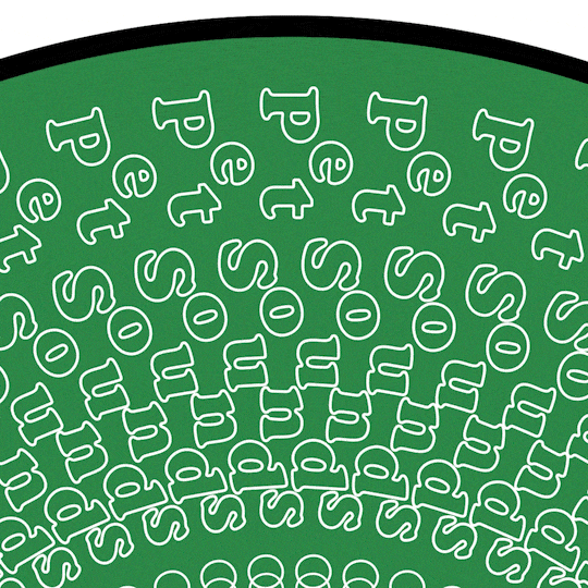 The Beach Boys - Pet Sounds - Vinyle Zoetrope