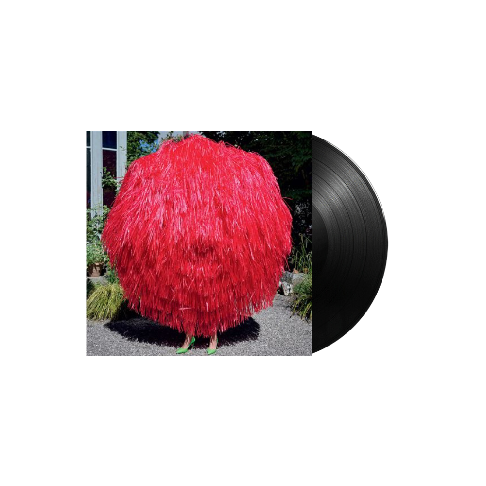 Stephan Eicher - Ode - Vinyle