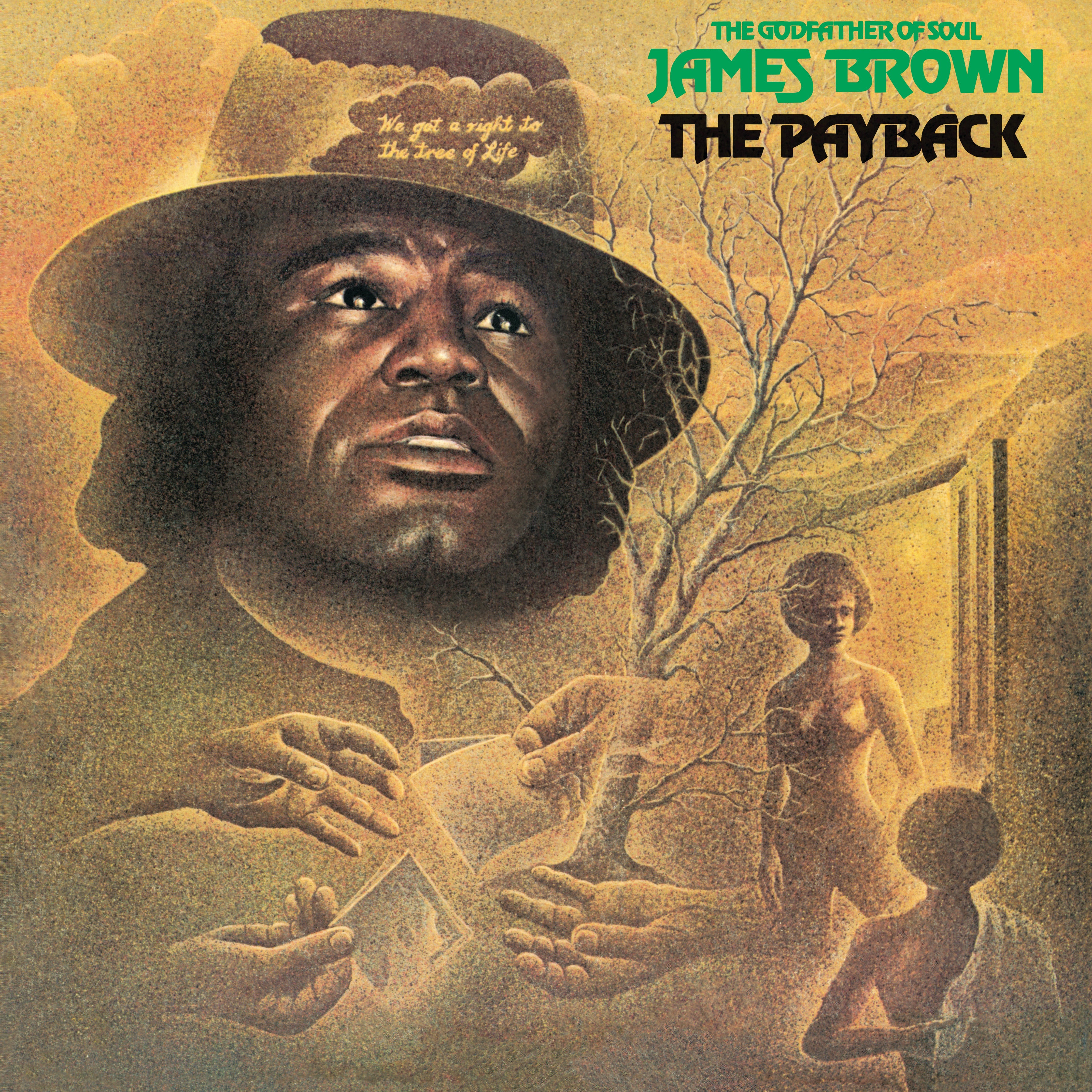 James Brown - The Payback - Double Vinyle Couleur