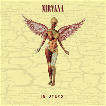Nirvana - In Utero 30th Anniversary - Coffret 8LP