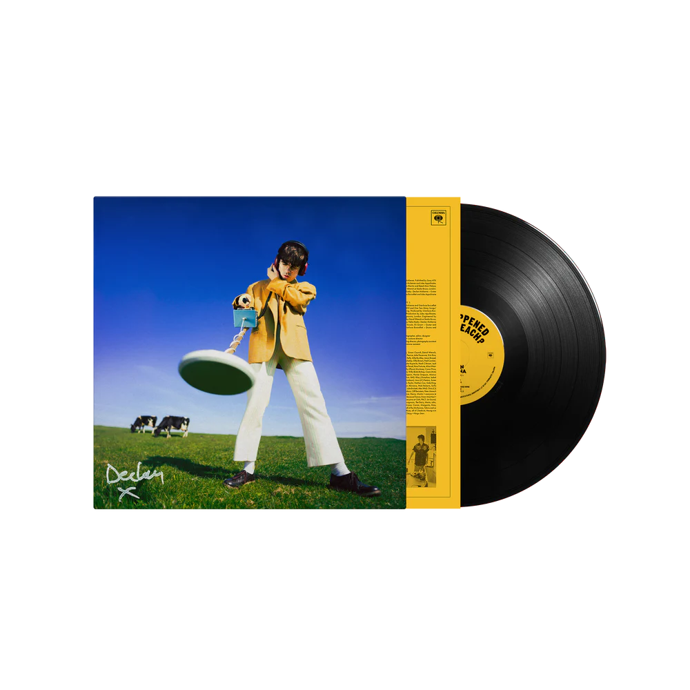 Declan McKenna - What Happened to the Beach? - Vinyle Noir Eco Mix