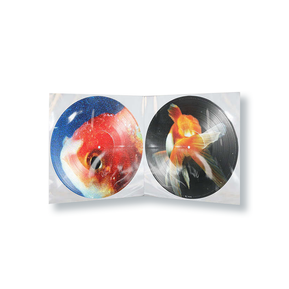 Vince Staples - Big Fish Theory - Double Vinyle Picture