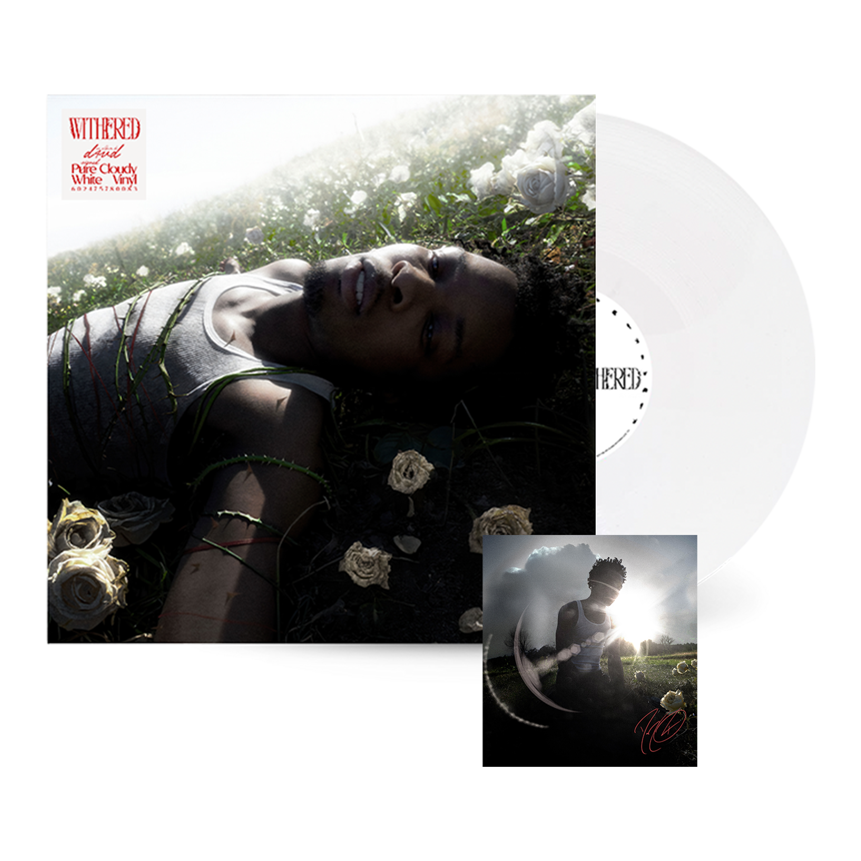 D4vd - Withered - Vinyle Standard Pure Cloudy Blanc + Carte Dédicacée