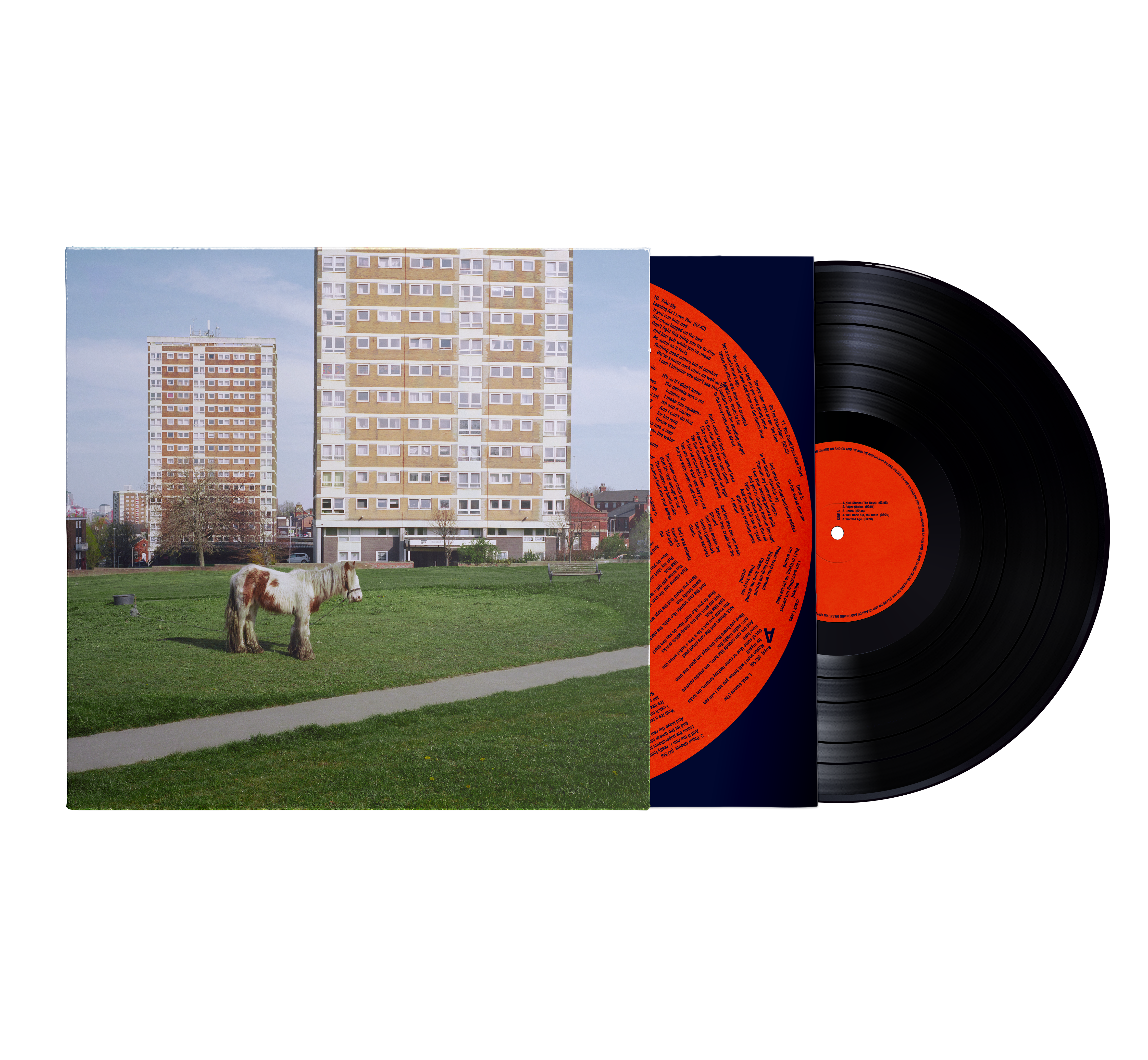 Westside Cowboy - It Goes On - Vinyle
