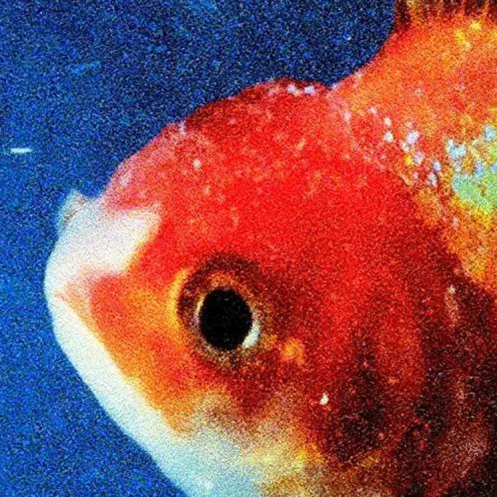 Vince Staples - Big Fish Theory - Double Vinyle Picture