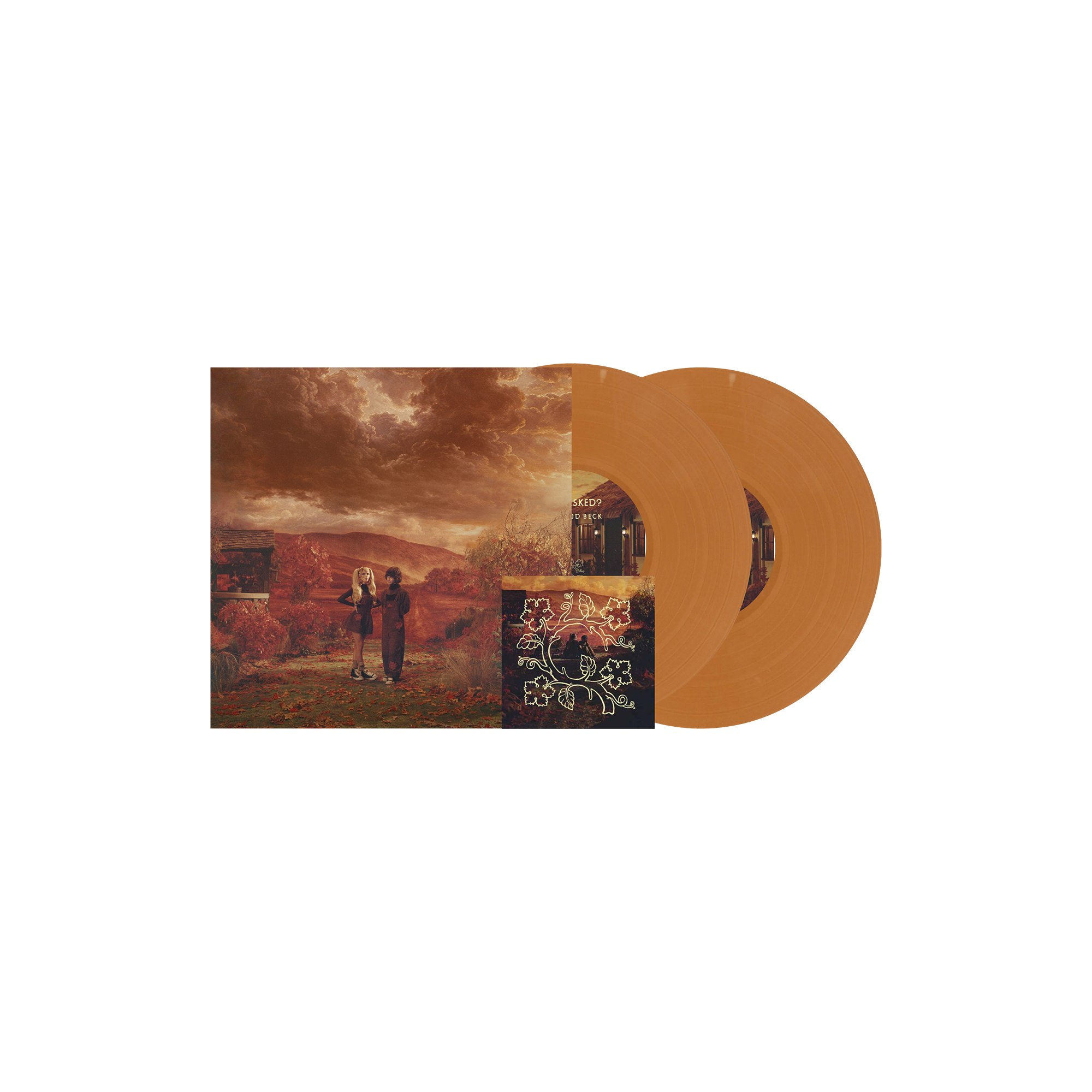 DOMi & JD Beck - WHO ASKED? - Double Vinyle Coloré Exclusive "Earth Opaque" + Arctard Dédicacée