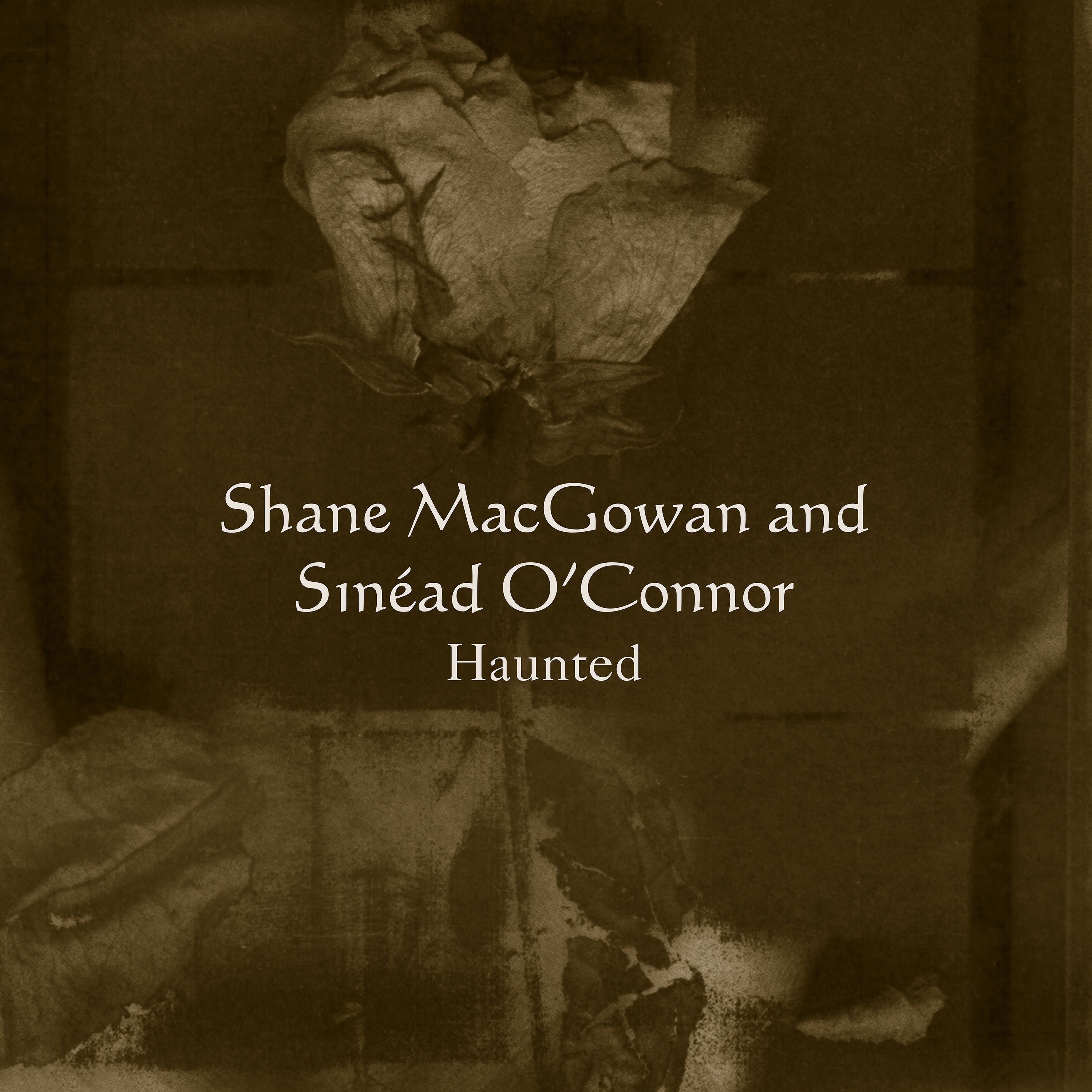 Shane MacGowan & Sinead O’Connor - Haunted - Vinyle Crystal Clear