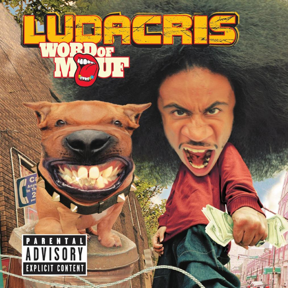 Ludacris - Word Of Mouf- Double Vinyle