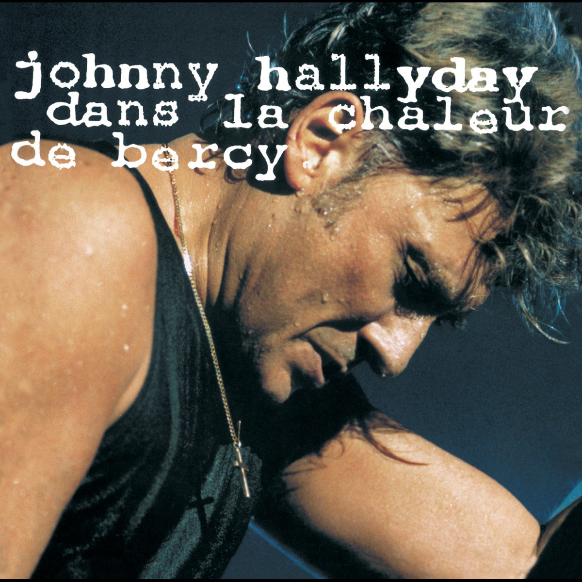 Johnny Hallyday - Dans la chaleur de Bercy - Double Vinyle Couleur