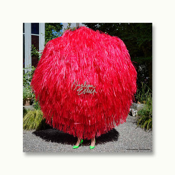 Stephan Eicher - Ode - Vinyle rouge + Lithographie dédicacée aléatoirement