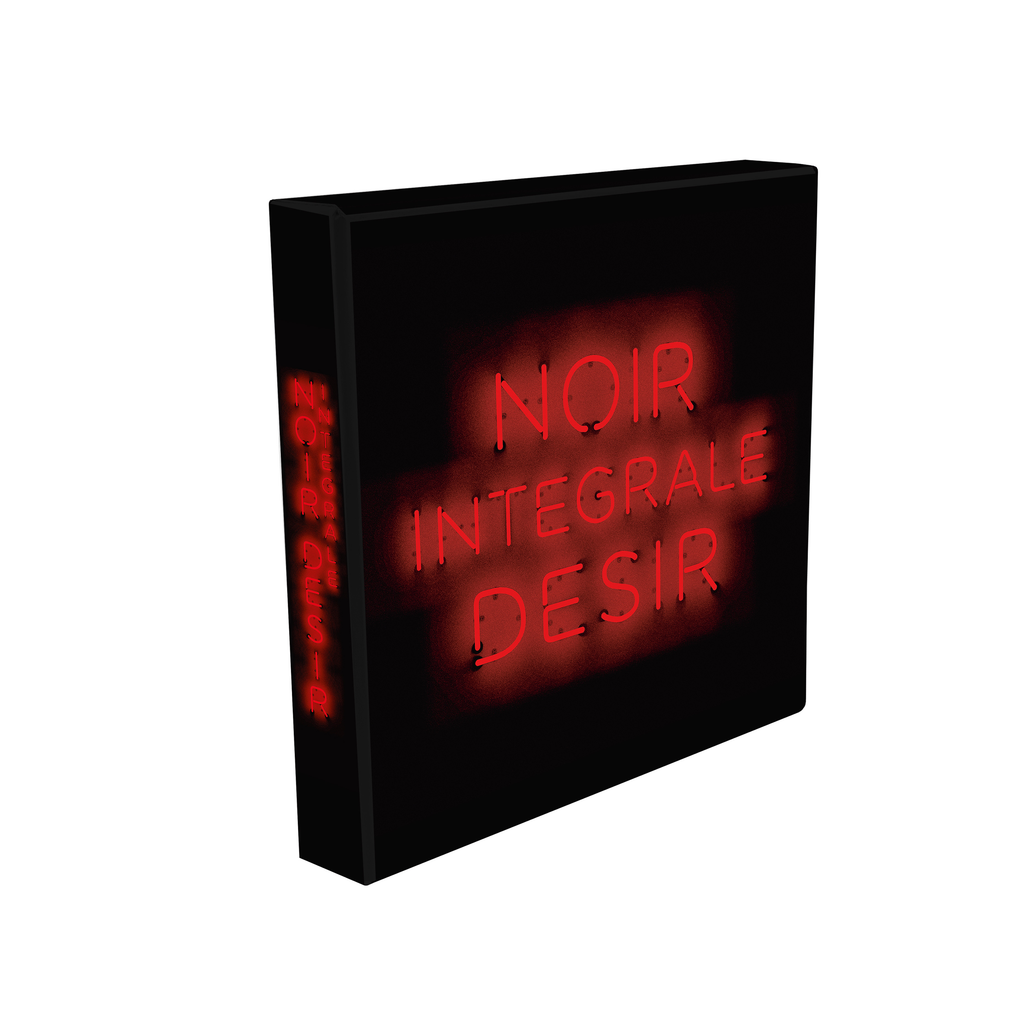 Noir Désir - Intégrale vinyle - 11 LP