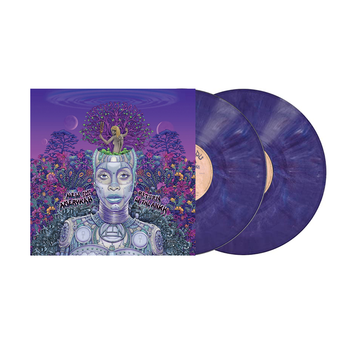 Erykah Badu - New Amerykah Part Two - Double vinyle Marbrés Violet et Blanc