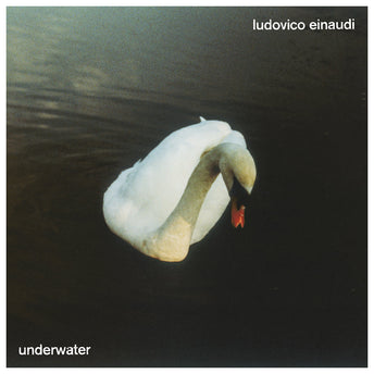 Ludovico Einaudi - Undiscovered Vol.2 - Double vinyle – VinylCollector  Official FR