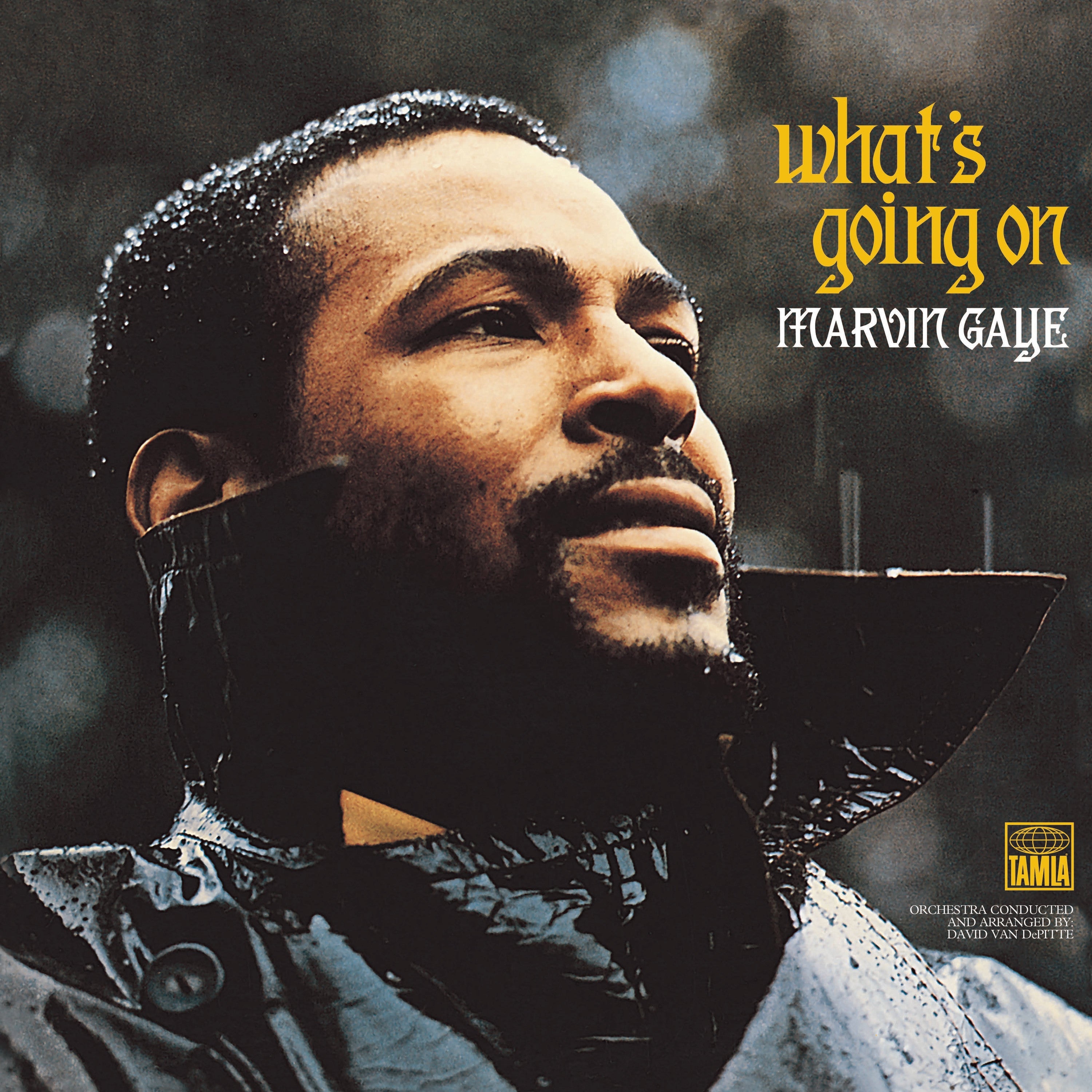 Marvin Gaye - What's Going On - Vinyle
