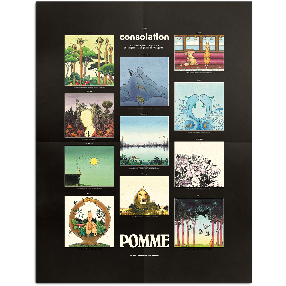Pomme - Consolation - Vinyle couleur phosphorescent+ poster